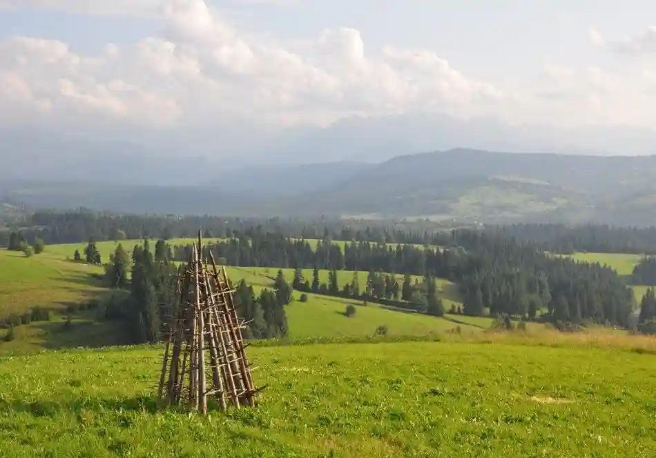 Toporów Premium қонақ үйі - атмосфералық интерьер 4